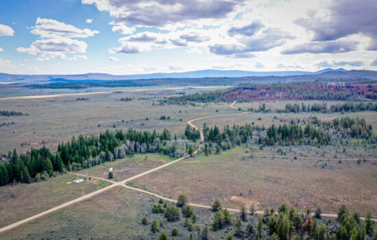 Off-grid opportunity! Hunt from your homestead on 1.56 untamed acres in Chiloquin, OR. Easy access to nat’l forest lands a walk away.