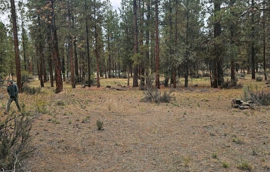 5.6-acres just off the beaten path! Power nearby, great access, heavily treed.