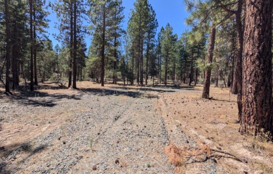 Private, Level, and Build-Ready Acreage Outside Bonanza