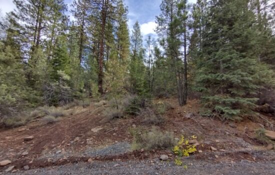 Plot perfection! Nice sized, heavily treed, power access, near nat’l forest!