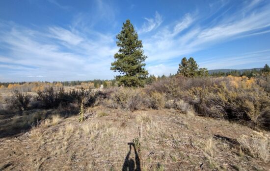 🌲 Your Piece of Paradise near Agency Lake – Double Lot Special! 🌲