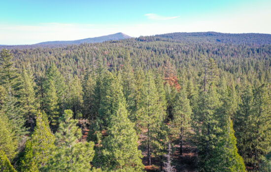 🌲 Unleash Your Wilderness Dream: 10 Acres of Raw Beauty in Bonanza, Oregon! 🌲