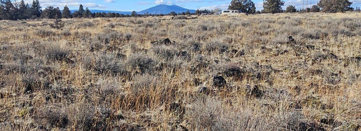 Off-grid 1.57-acre parcel with direct access to Freemont-Winema National Forest!