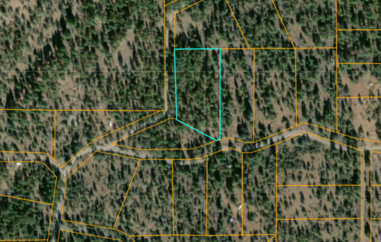 7 Acres, three adjoining parcels, Ready for Your Vision! (Grizzly Lane)