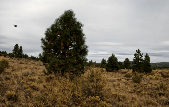 Prime 0.34-Acre Buildable Lot Near Agency Lake in Chiloquin, Oregon