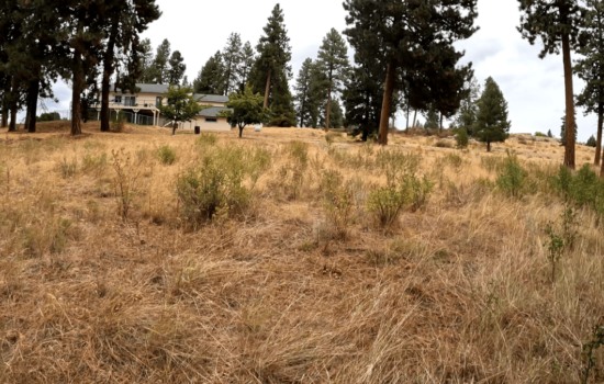 Buildable Lot on Lake Forest Drive, Chiloquin, OR – Ready for Development