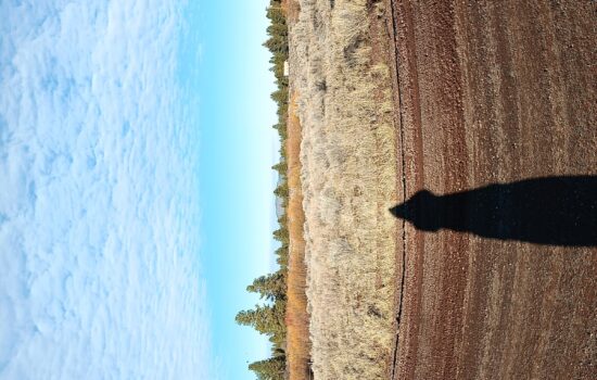 Build Your Dream Near Agency Lake – .71 Acres of Opportunity in Chiloquin, Oregon!