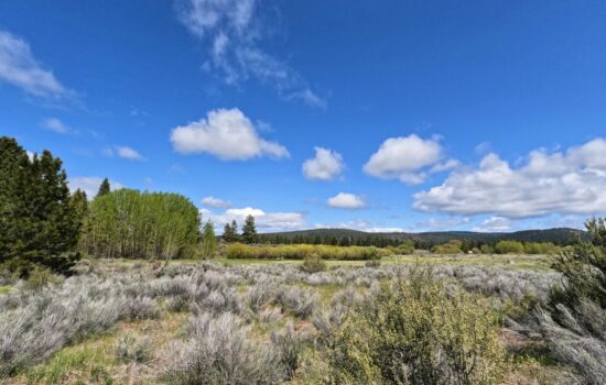 Build Your Dream Near Agency Lake – .71 Acres of Opportunity in Chiloquin, Oregon!