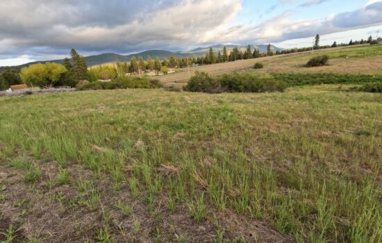 0.63 Acres – Buildable Land with Community Water & Power – Near the Lake and multiple rivers.