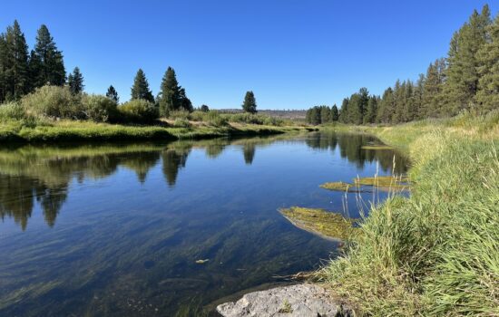 2 Adjoining Acres with Power, Maintained Road, and Deeded River Access – Sprague River Pines, Oregon