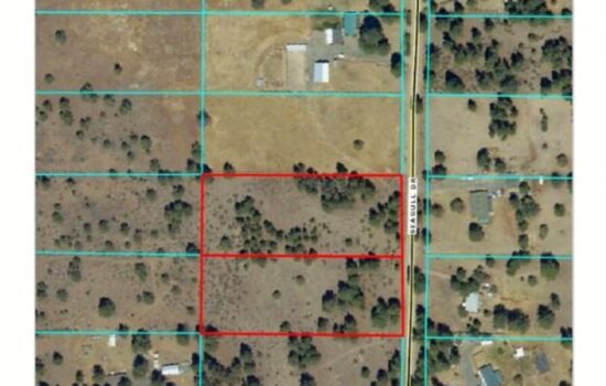 🌲 4.65± Acre Wooded Retreat – Two Adjoining Lots