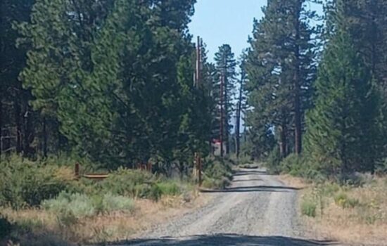 1.81 Acres – Flat, Buildable Lot with Road Access & Power Nearby – Bufflehead Rd, Bonanza, Oregon