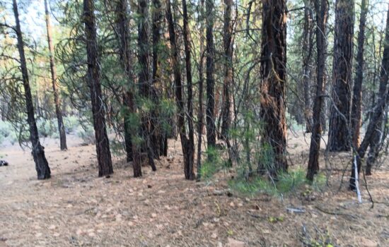 2 Adjoining Acres with Power, Maintained Road, and Deeded River Access – Sprague River Pines, Oregon