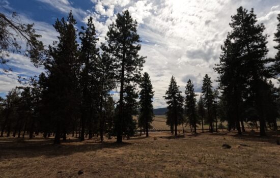 Your Running Y Retreat – Golf, Lake Access & Village Charm Await!